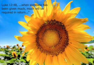 Close-up sunflower against a bright blue sky with overlaid text: 'Luke 12:48, ...when someone has been given much, much will be required in return…'